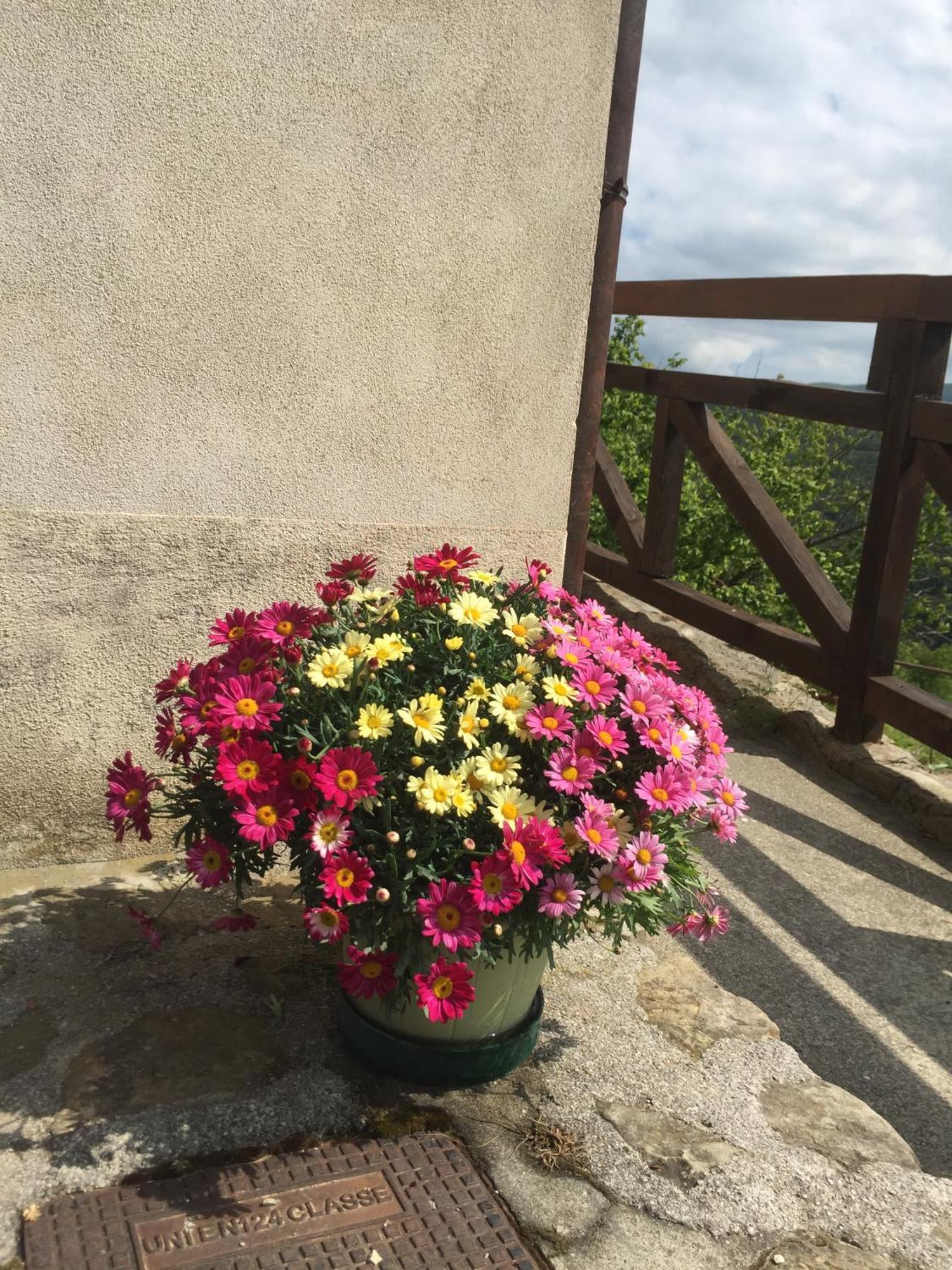 Residenza Cima Le Vigne Bed & Breakfast Millesimo Oda fotoğraf